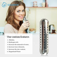 Bâtonnet ioniseur d'eau alcaline magnétique SOUDRON, mini-stick infuseur d'ions négatifs minéraux, purificateur et filtre d'eau.