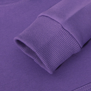 Vente en gros de sweats à capuche d'hiver personnalisés avec logo, sweats à capuche décontractés, sweats à capuche pour enfants, couleur unie, épais et chauds - Product Image 4