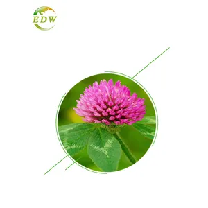 Pure Red Clover Extract Powder 8% Isoflavones Powder Red Clover Extract For Health Supplement