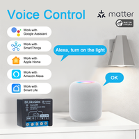 Interrupteur mural numérique Bilihondim à contact sec, certifié Matter, 1 canal, 200W, garantie d'un an, compatible Google Assistant