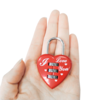 Mini serrure à mot de passe en forme de cœur, petit cadenas métallique à combinaison de Code à 3 chiffres pour sacs de voyage