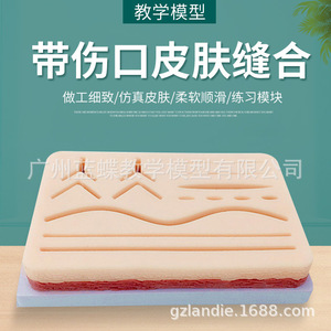 Module de suture de plaies avec coussin en silicone pour la pratique de la suture cutanée, simulant des instruments chirurgicaux - Product Image 5