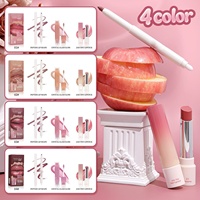 Ensemble de maquillage pour lèvres pulpeuses : Gloss hydratant, Rouge à lèvres effet miroir, Crayon à lèvres, Kit lèvres facile à appliquer