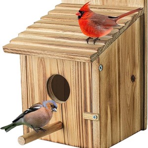 Nichoirs à oiseaux en bois au design moderne, durables pour l'extérieur, nichoir suspendu pour pinsons, colibris, cardinaux, jardin, campagne - Product Image 5