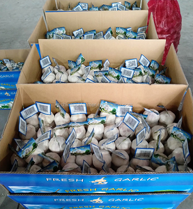 <span class=keywords><strong>2025</strong></span> cây trồng Trung Quốc phòng lạnh tỏi trên bán hàng nóng - Product Image 4