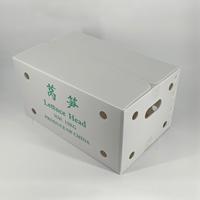 Op maat bedrukte PP golfkartonnen sla-kartonnen doos, waterdichte holle kartonnen krat met ventilatiegaten voor export van verse groenten