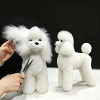 Perruques synthétiques en fourrure pour chien, pour entraînement et toilettage de caniches, emballées sous vide, modèle squelette de chien, vente en gros directe usine, stable