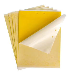 แผ่นกาวดักแมลงวันสองหน้าสีเหลือง ทำจากพลาสติก PC สำหรับกำจัดแมลงในสวนผลไม้ เรือนกระจก และสวนชา ประสิทธิภาพสูง - Product Image 6