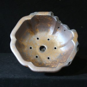 Pot à Bonsaï Octogonal Cuit au Bois Fait Main Style Wabi Sabi Grande Taille Résistant aux Insectes Zou Hangyu - Product Image 3