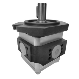 Pompe à engrenages EIPC EIPC5-100RA23-1XEIPH2-013RK03-11 à insertion interne pour machines hydrauliques à entraînement électrique - Product Image 1