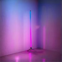 Lámpara de Pie de Esquina Moderna RGB con Control por Aplicación, Sincronización Musical, LED, Alimentación USB, Alto CRI 90, PVC, Luz Ambiental DIY para Dormitorio, Sala de Estar, Juegos