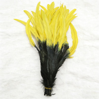 Plumes de queue de coq bicolores 40-45 cm Stocked Cheap Dyed Color Rooster Tail Feather for Carnival Headdress Decoration