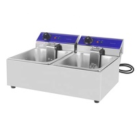 Friteuse électrique double 3 kW avec réservoir de 10 L en acier inoxydable, plaque chauffante électrique commerciale en promotion