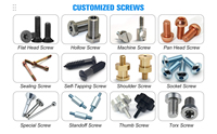 Precision Fasteners Special-Shape Stainless Steel Head Bolts Non-Standard Metric System Hardware Accessories Screws