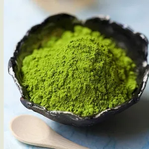 Fabricante OEM fornece amostra grátis de chá verde Matcha orgânico instantâneo em pó de marca própria
