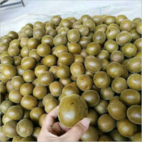 Fruit de moine d'herbes séchées biologiques de qualité supérieure Luo Han Guo Momordica Grosvenori