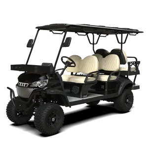 Custom Street Legal Min 4+2 6 Seater Chinese Cheap Electric Golf Carts For Adults