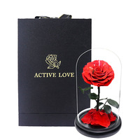 Hot 12*20Cm Beauty Beast Belle Led Red Real Everlasting Decoratieve Bloem Gift Box Blijvend Eeuwige Geconserveerde Rozen in Glas Dome