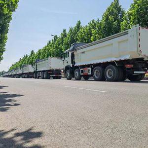 Camion Ribaltabile Howo 8x4 a 12 Ruote con Guida a Sinistra a Basso Prezzo in Vendita - Product Image 3