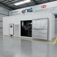 Generatore Silenzioso da 300kW con Copertura Antirumore, Alimentato a Diesel, Gas e Metanolo per Alimentazione di Emergenza Commerciale