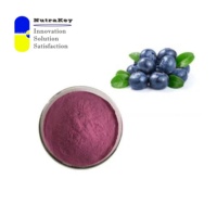 Poudre de myrtille de qualité supérieure 80 mesh | Extrait de myrtille sauvage de haute pureté | Riche en anthocyanes et antioxydants