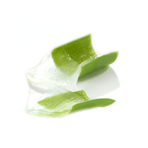 เจลว่านหางจระเข้ธรรมชาติบริสุทธิ์100% สารสกัดจากว่านหางจระเข้ - Product Image 6