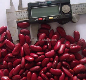 Venta al por mayor Nihewan alta calidad frijol seco Fagioli riñón rojo oscuro Biologici frijoles rojos precio por tonelada - Product Image 2