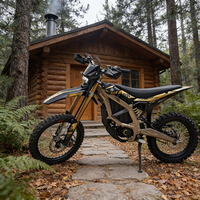 Modisches Hochgeschwindigkeits-Abenteuer-Elektro-Offroad-Bike Surron 24,5kW Ultra Bee für Erweiterte Geländereichweite