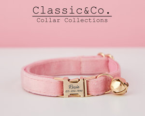 Hồng Veet cá nhân Cat & chó nhỏ cổ áo BOW TIE Dây Xích thiết lập, tùy chỉnh khắc Kitten Puppy name tag, miễn phí chuông vàng, nam nữ - Product Image 1