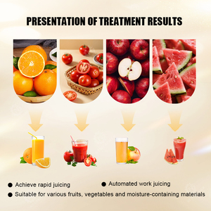 Ticari Meyve Sıkacağı Küçük Şeftali Zencefil Özütü Çıkarıcı Portakal Soğuk Pres Meyve Suyu Makinesi Narenciye Suyu Çıkarma A04 - Product Image 6
