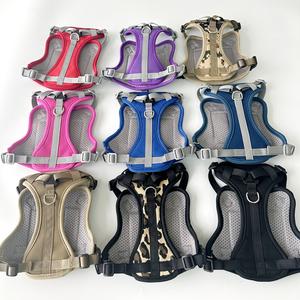 Arnés y Correa para Gatos de Moda de Lujo de Buena Calidad, Ajustable y Duradero para Paseos Diarios - Product Image 2