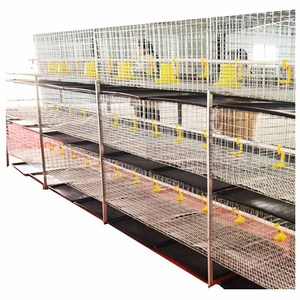 Jaula para Gallinas Ponedoras para Granja Avícola en Tanzania, Jaula de 3 Niveles y 2 Puertas para 72 Pollos - Product Image 2