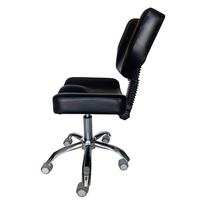 Chaise de salon professionnelle, chaise de beauté et de coiffure, chaise de manucure et de coiffure, chaise de tatouage, tabouret élévateur pour fauteuil roulant