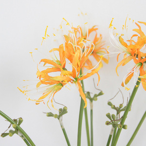 M822 Décoration florale Equinox de haute qualité, <span class=keywords><strong>Higanbana</strong></span> artificielle pour la décoration intérieure - Product Image 2