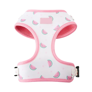 كلب بتصميم خاص امتصاص صدمات عالي الكثافة سهل الارتداء قابل للتحويل جميل للكلاب الكبيرة المتوسطة - Product Image 2