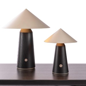 Lampe de table minimaliste moderne, source de lumière LED, commande par interrupteur, pour salon, chambre à coucher, décoration de la maison - Product Image 3