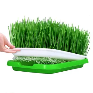 Offre Spéciale Maison Bricolage DE Germination Hydroponique de microgreen plateau pour différentes graines