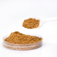 Factory Wholesale Barbecue Spices Seasonings Powder 30g*60 for Family or Cantee OEM