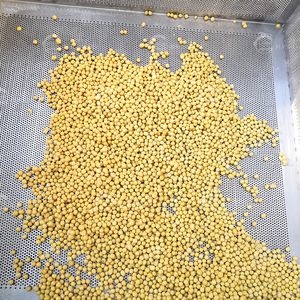 300-600 kg/giờ đậu nảy mầm bong bóng máy giặt rau đậu nành thương mại máy giặt Rau - Product Image 3