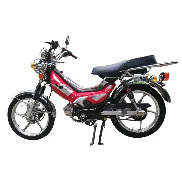 2024 Neues Design Schlussverkauf 50 Ccm 70 Ccm 80 Ccm 90 Ccm 110 Ccm 4-Takts-Mini-Bike Gaskürbel 2-Takts-Benzinmotor