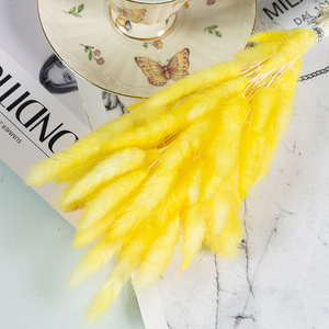 Erba di Coniglio Essiccata Naturale all'Ingrosso per Decorazioni Matrimoniali, Forniture per Fioristi, Artigianato Fai-da-Te e Composizioni - Product Image 6