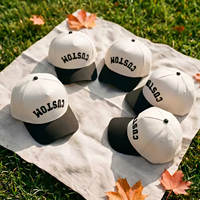 Gorra de Béisbol de 5 Paneles con Logotipo Bordado Personalizado, 100% Algodón, al por Mayor, de Alta Calidad, Gorras Deportivas de Dos Tonos para Papá