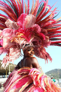 Nuevos productos Artificial 60-150cm Lady Amherst Pheasant Feathers para carnaval Fiesta Decoración Centros de mesa Plumas De <span class=keywords><strong>Faisan</strong></span> - Product Image 6