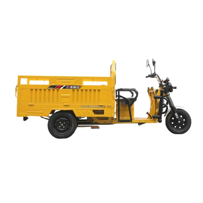 All'ingrosso di alta qualità del motore di trasporto merci triciclo Cargo 3 ruote triciclo moto