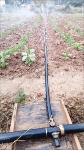 Tuyau PE d'irrigation agricole de haute qualité <span class=keywords><strong>pour</strong></span> un usage professionnel - Product Image 6