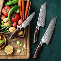 Couteaux de chef de luxe XINZUO en acier Damas, acier en poudre 14Cr, manche G10, ustensiles de cuisine