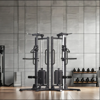 Appareil de fitness multifonctionnel en métal pour la maison, avec système de tirage vertical haut de gamme et structure portique 'Flying Bird' à une seule face, pour le dos