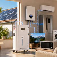Batterie LiFePO4 de stockage d'énergie solaire commerciale et domestique à cycle long 51.2V 314AH 16KWH avec bande LED