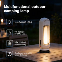 Lampe torche LED portable 1W à prix abordable, rechargeable, multifonctionnelle, solaire, avec prise CA coulissante