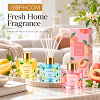 Usine en gros personnalisé Premium verre roseau diffuseur maison parfum désodorisant aromathérapie huile liquide diffuseur cadeau ensemble